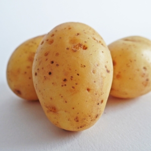Kartoffeln speckig BIO